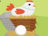 Separar ovos da galinha